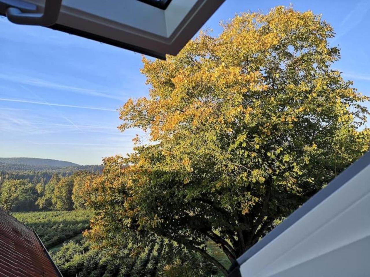 Gruene Oase Im Teutoburger Wald Apartment Georgsmarienhutte Bagian luar foto